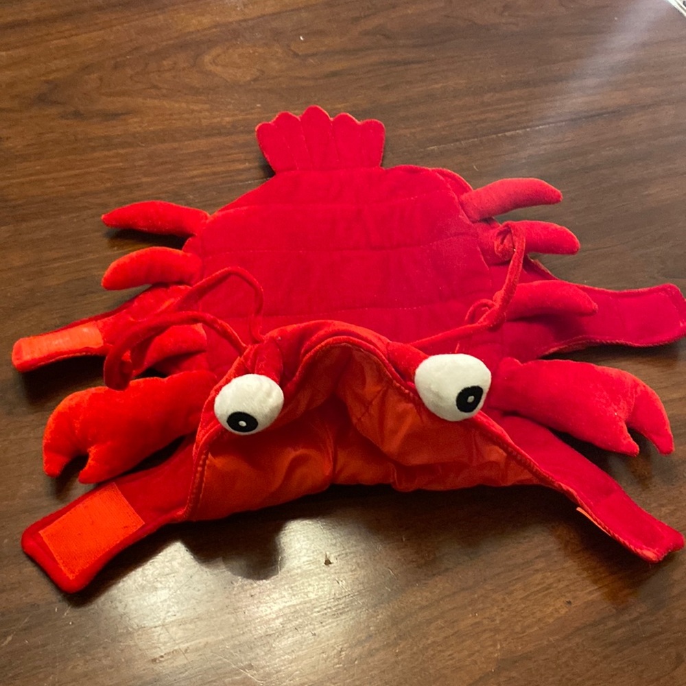 Dog Halloween costume, red crab eyes and antennas Velcro closure Nice condition.